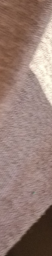 CLEARANCE- Light Casual Sweater - Picture 3 of 6